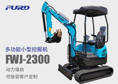 FWJ-2000  2鍣稿皬鍨嬫寲鎺樻